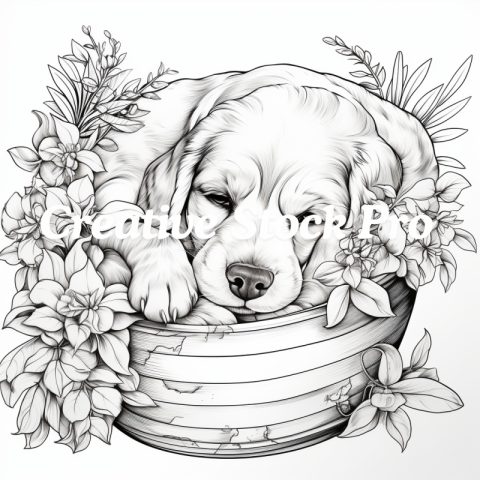 Dalmatian Spots Coloring Page for All Ages